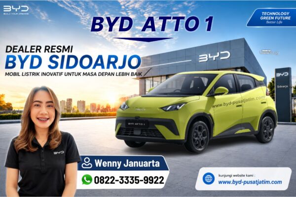 BYD ATTO 1
