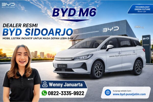 BYD M6