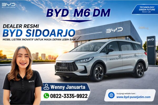 BYD M6-DM